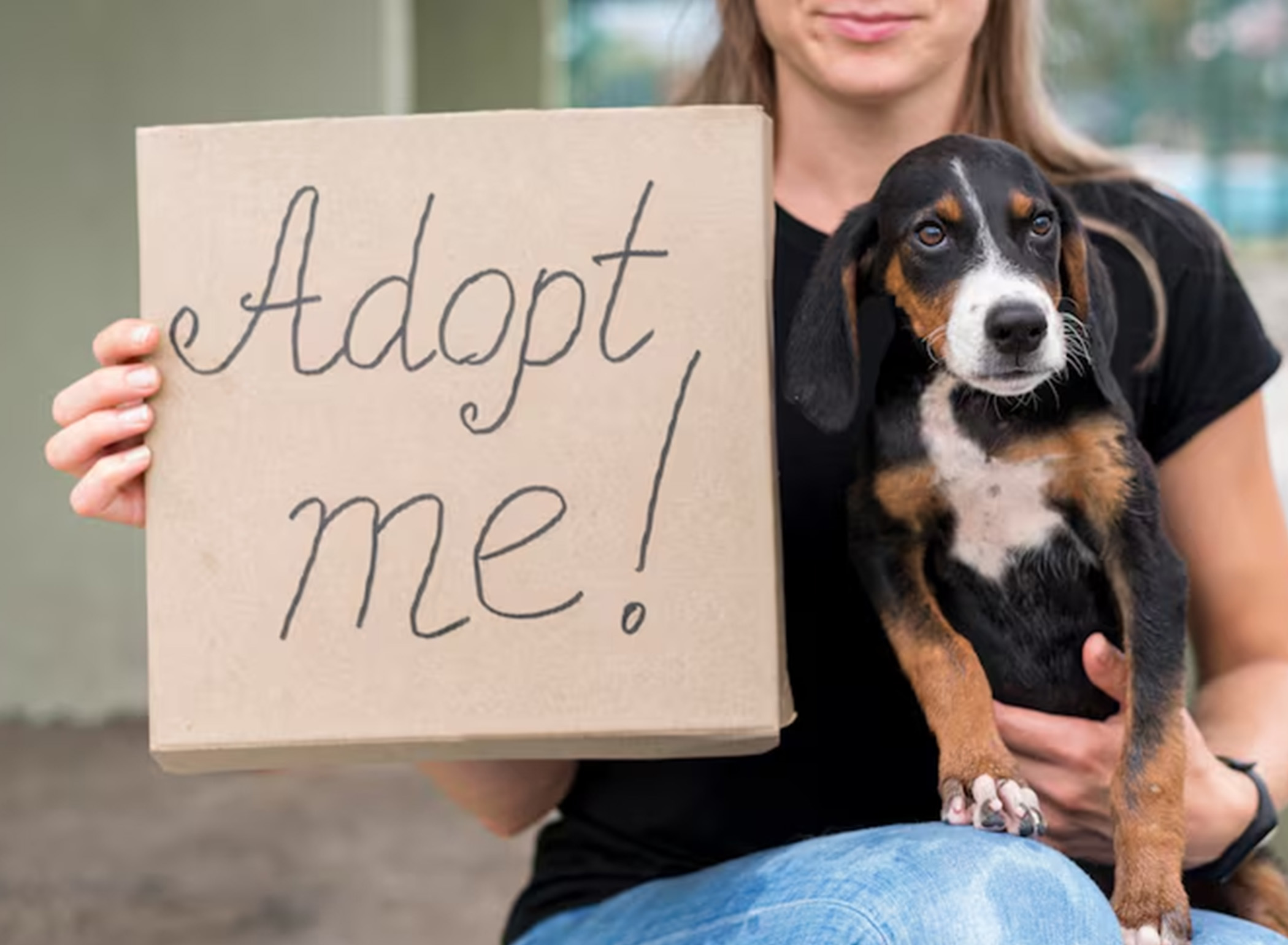 Find Your Perfect Companion: Adopt a Pet from Global Pet Pals