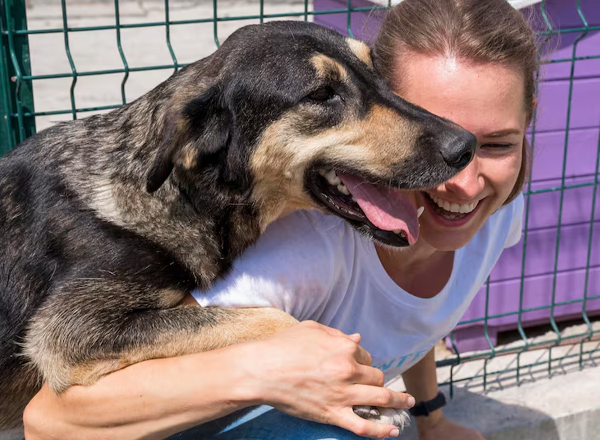 A Better Future for Animals: 2025's Legislative Triumphs