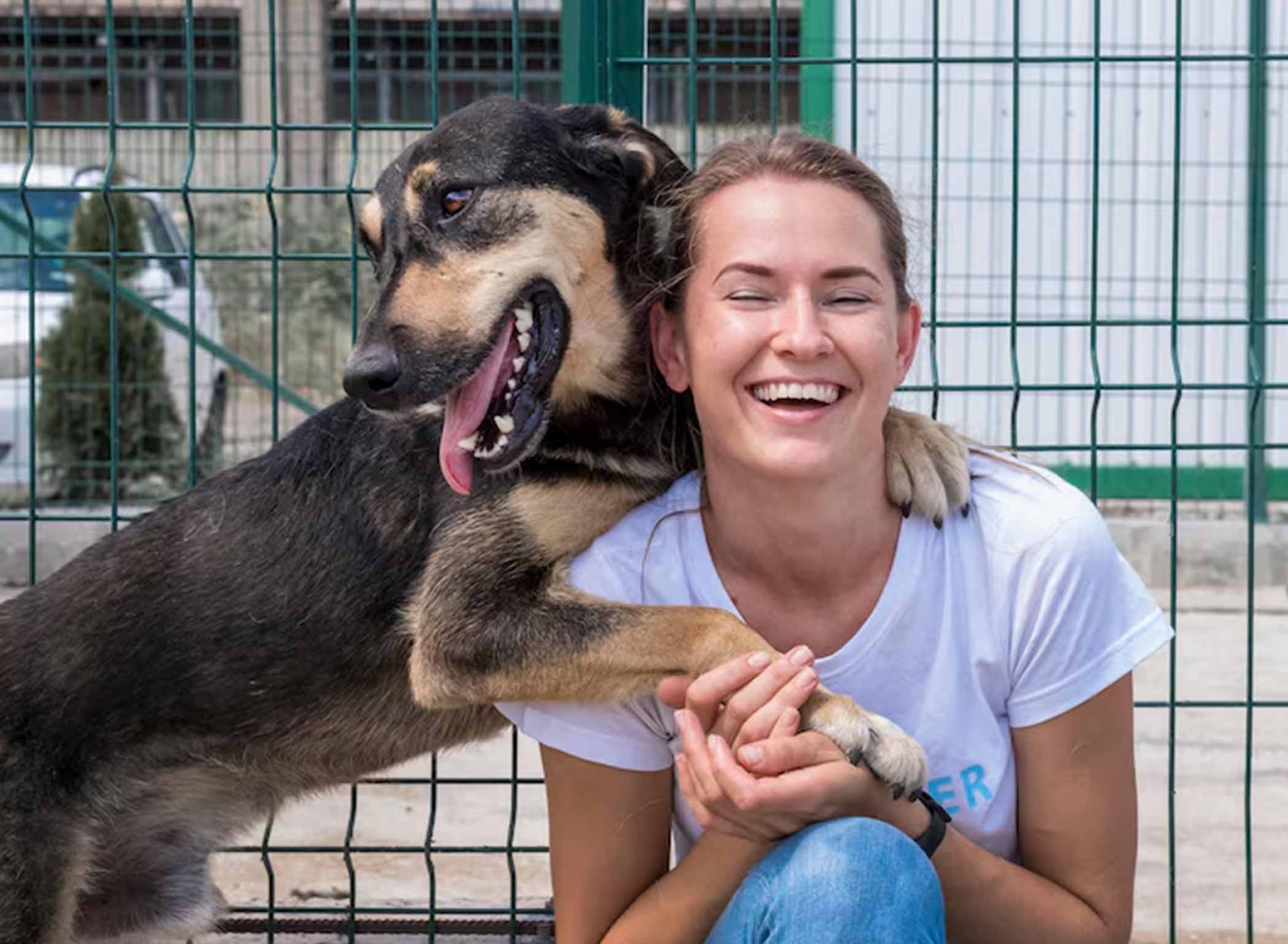 Protecting Your Pets: Understanding Toxic Household Products and Substances